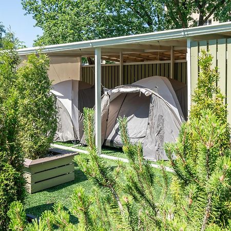 Garden Camping Ταλίν Εξωτερικό φωτογραφία