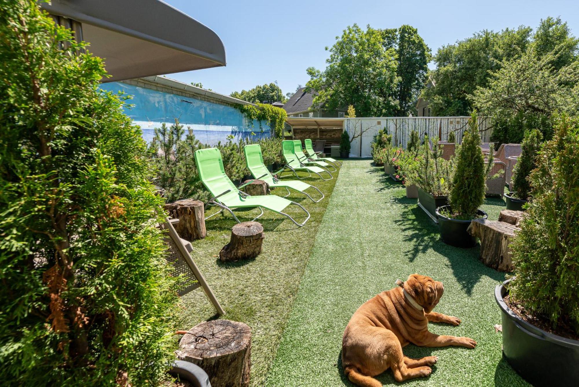 Garden Camping Ταλίν Εξωτερικό φωτογραφία